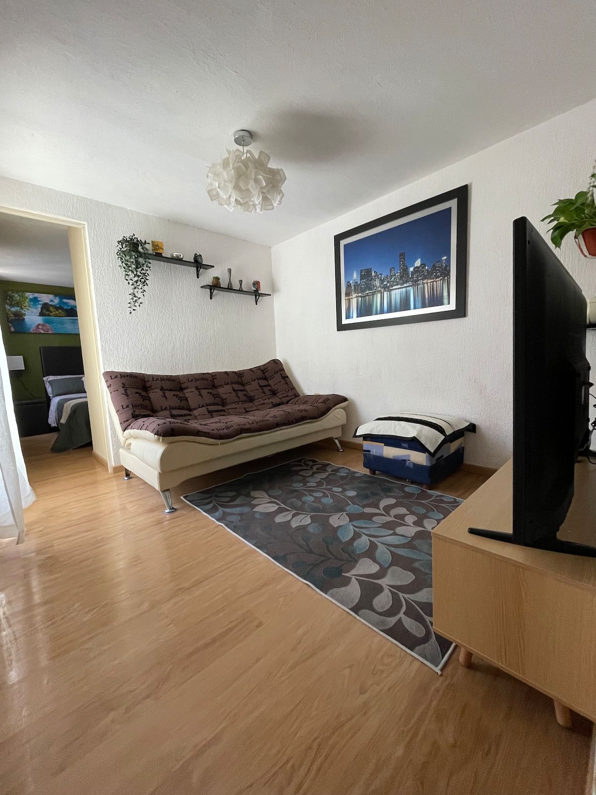 Sala con televisión, para las noches del grupo